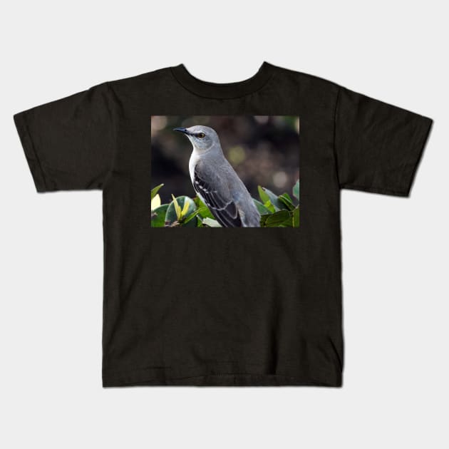 State Bird Northern Mockingbird Kids T-Shirt by jillnightingale